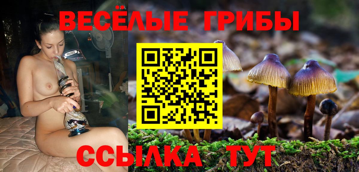 Галлюциногенные грибы Psilocybine cubensis  Вход с VPN  купить наркоту  Изобильный 