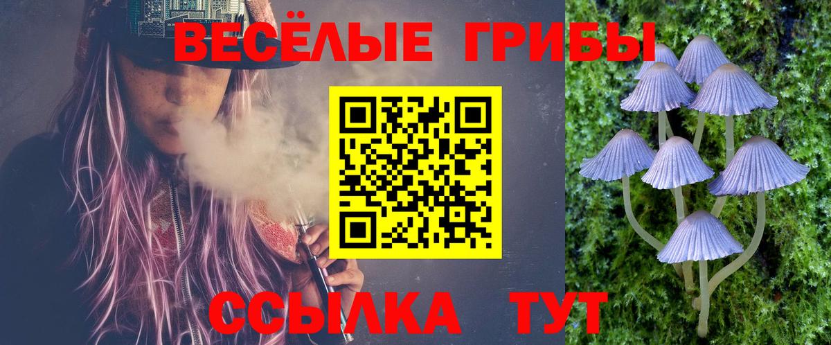 Галлюциногенные грибы Cubensis Изобильный